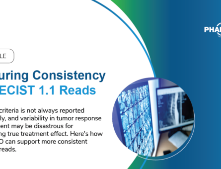 Ensuring Consistency in RECIST 1.1 Reads